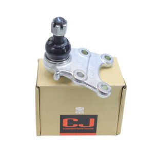 بيض سفلي ديمكس2020 CJ